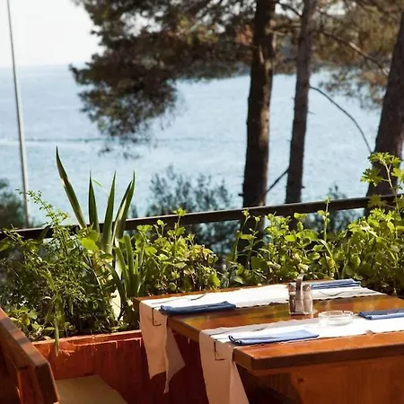 Sea View Bluescape By Vellaris, Luxury Mobile Camping